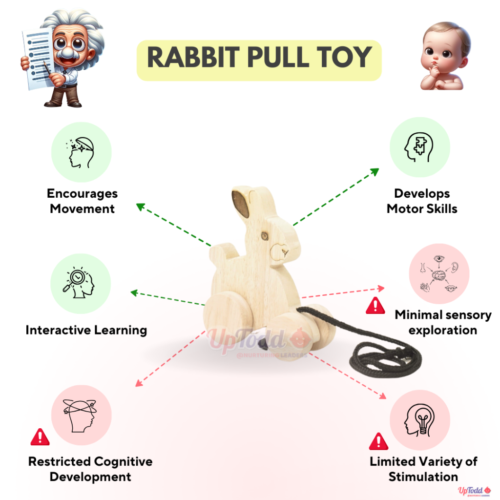 Rabbit Pull Toy Benefits