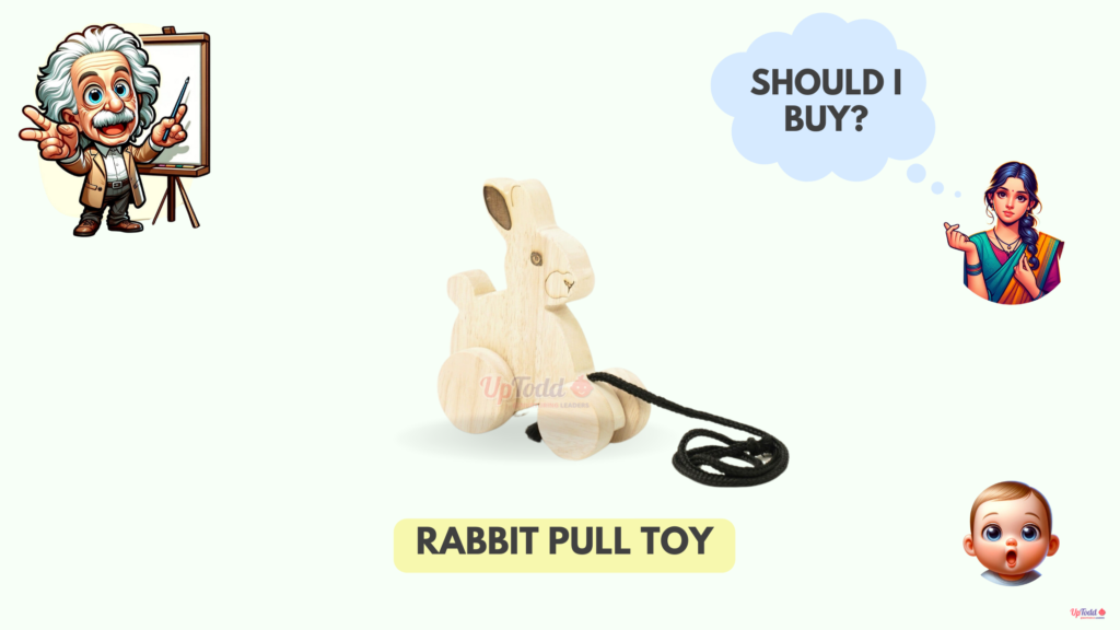 Rabbit Pull Toy