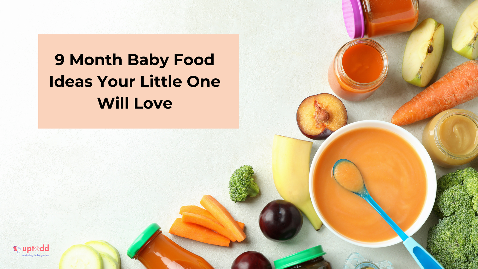 9 month baby food