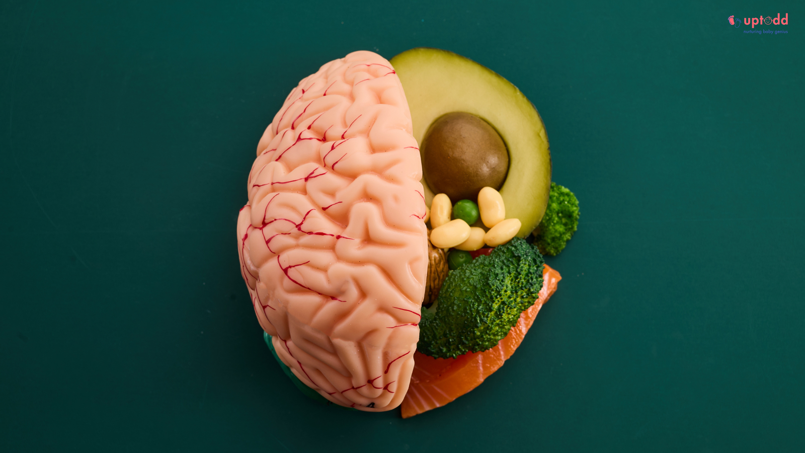 Food for 9 month baby’s brain development