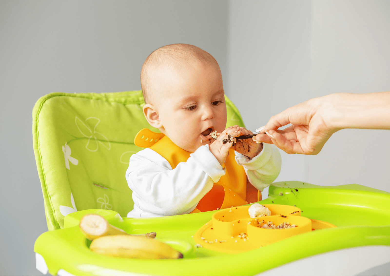 6 month baby food